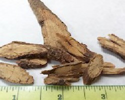 Ye Jiao Teng (Polygonum Vine, Fleeceflower Vine)