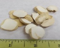 Zhe Bei Mu (Fritillaria Bulb)